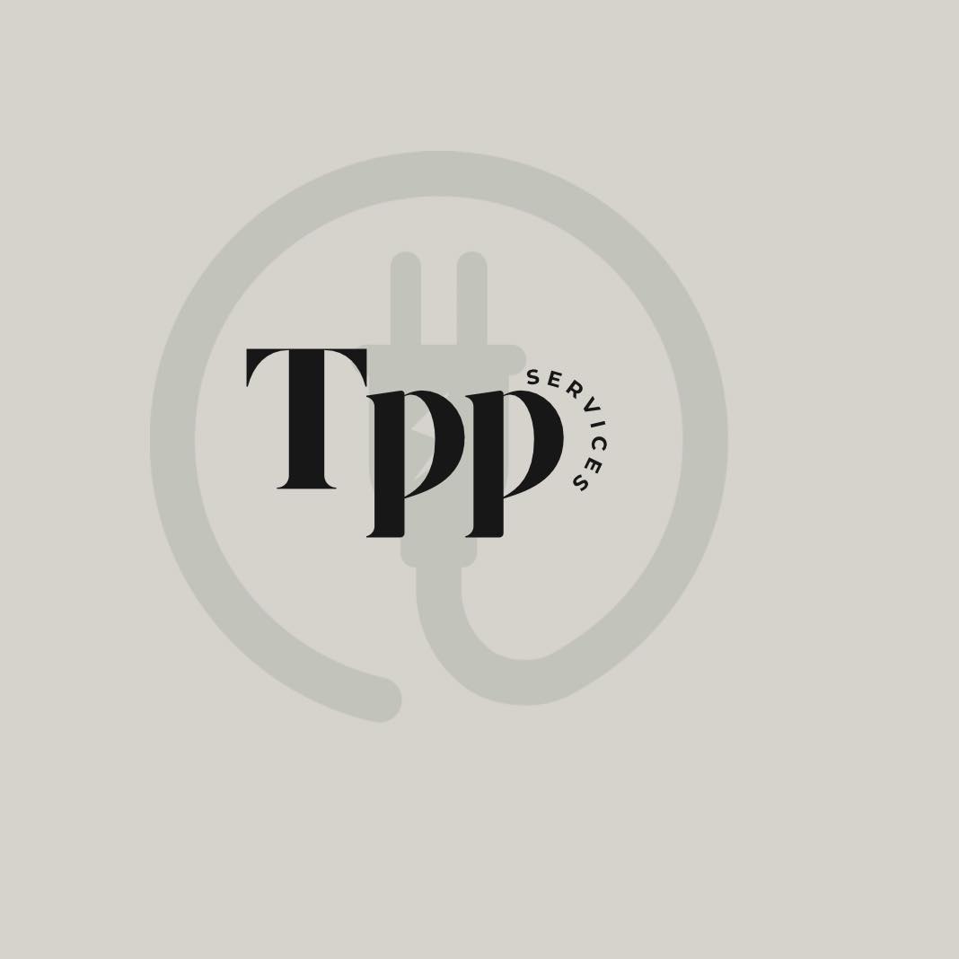 The Professional Plug logo
